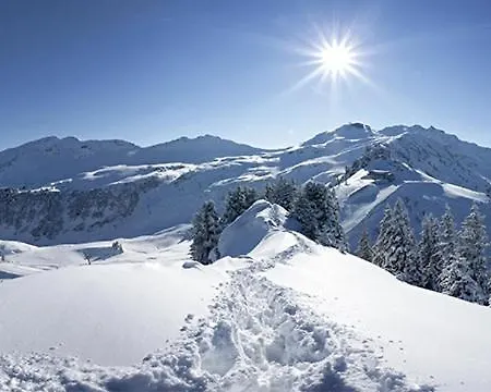 Hotel Edy Bruggmann Ag *