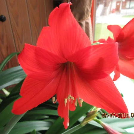 Hotel Edy Bruggmann Ag