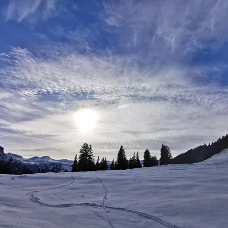 Edy Bruggmann Ag Hotel Flumserberg