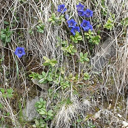 Hotel Edy Bruggmann Ag