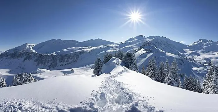 Hotel Edy Bruggmann Ag *