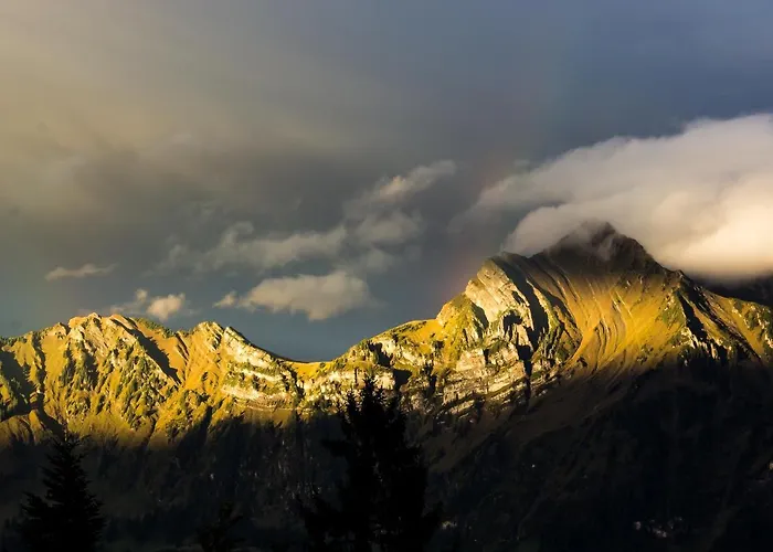 Edy Bruggmann Ag Hotel *