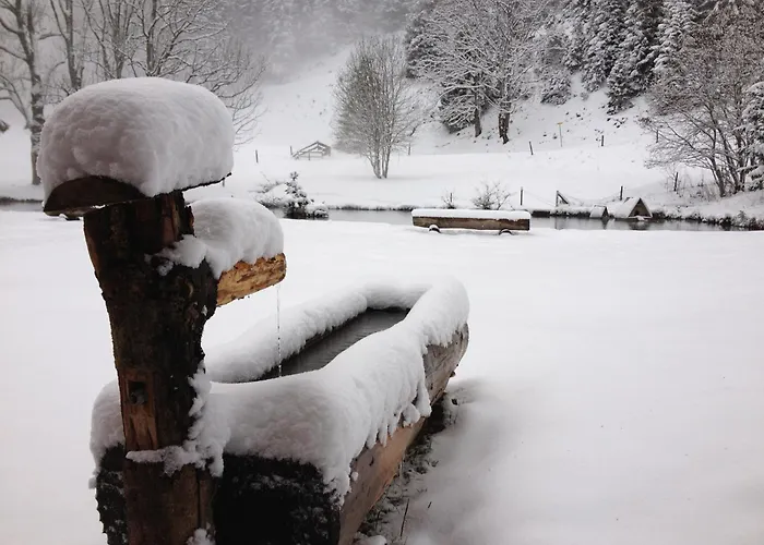 Edy Bruggmann Ag * Flumserberg