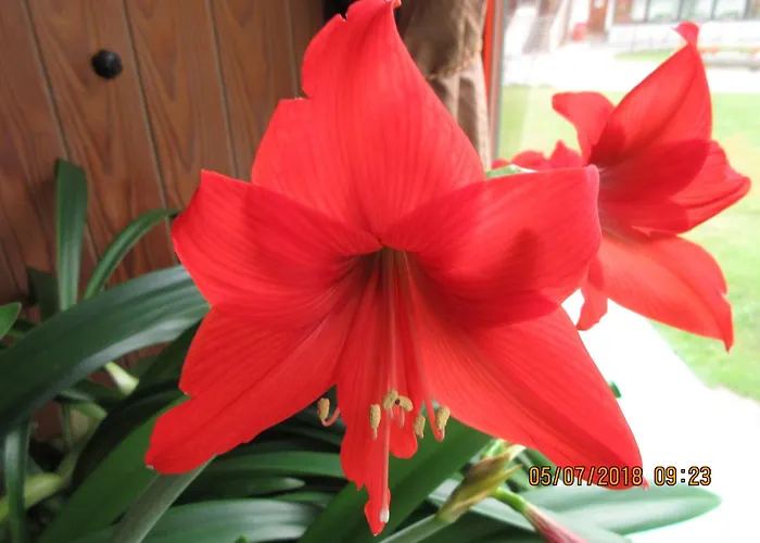 Hotel Edy Bruggmann Ag