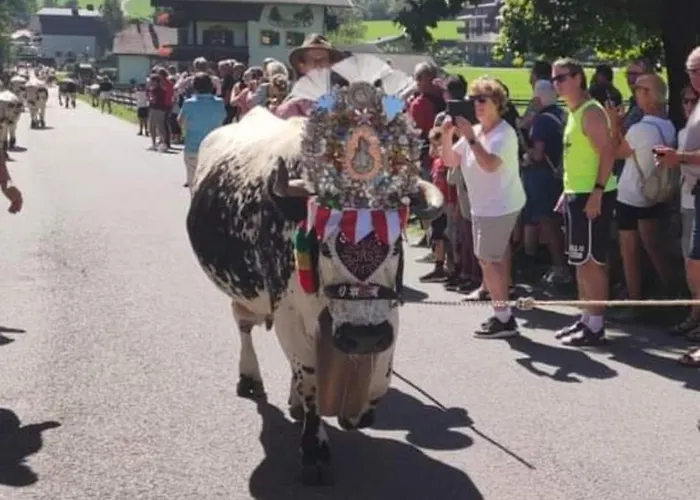 Edy Bruggmann Ag Flumserberg