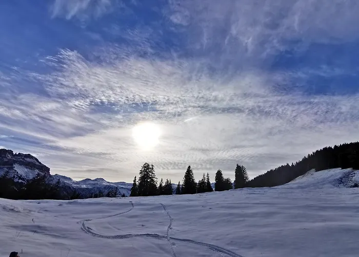 Edy Bruggmann Ag Hotel Flumserberg