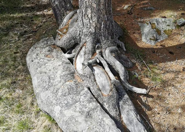 Hotel Edy Bruggmann Ag Flumserberg