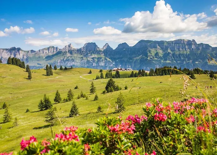 Edy Bruggmann Ag * Flumserberg