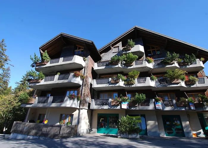 Hotel Edy Bruggmann Ag *