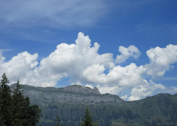 Edy Bruggmann Ag Hotel